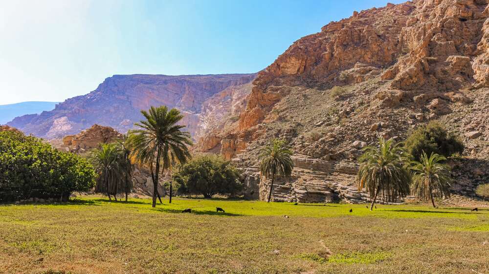 Wadi shah
