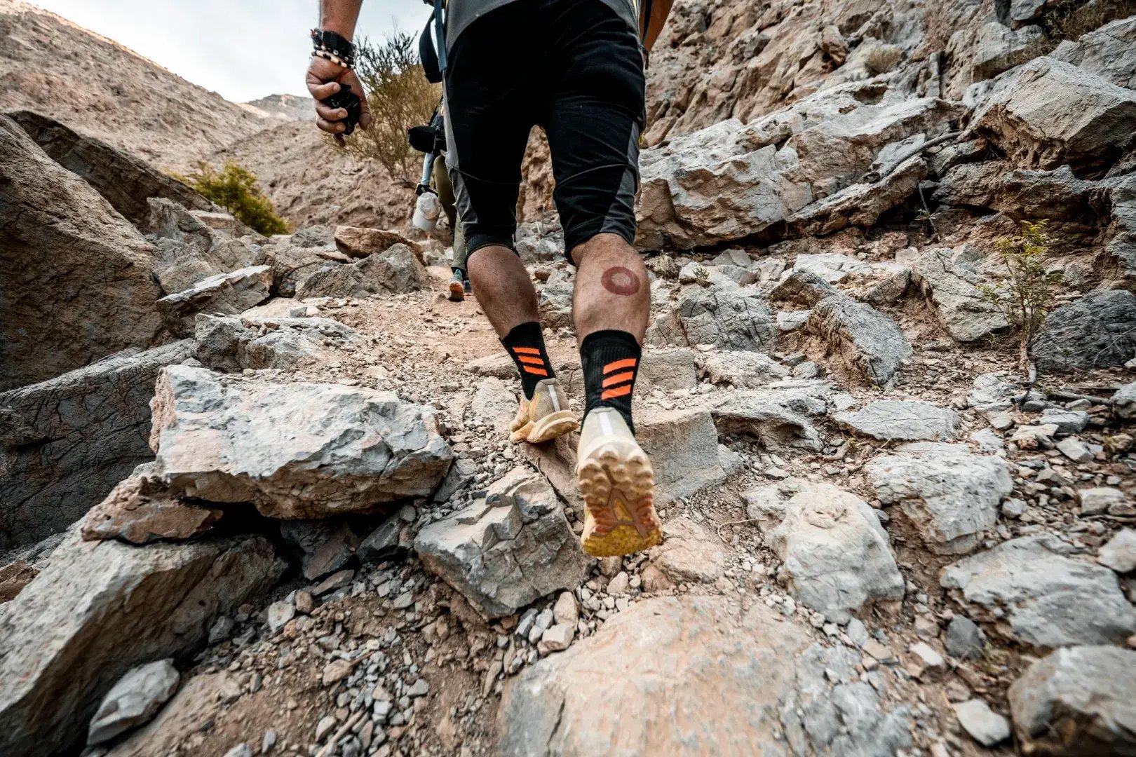 1_HL_UAE_Photo_Predrag_Vuckovic_0132 (Large)